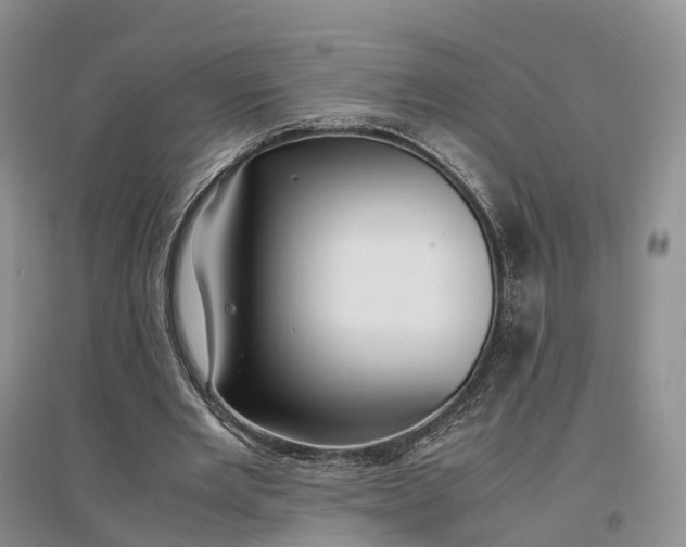 X0000097300485200802291817