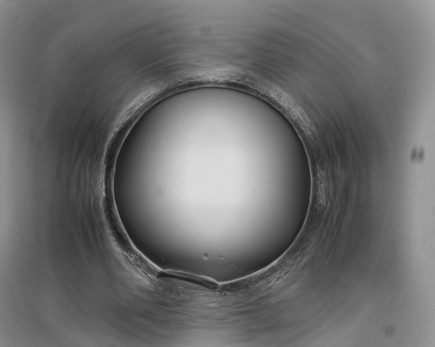 X0000097300486200802291817