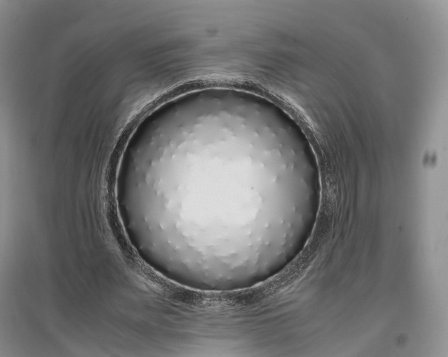 X0000097300487200802291817