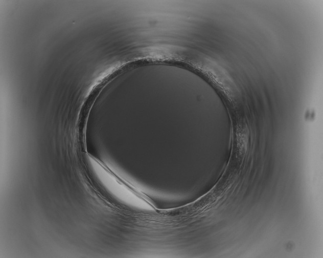 X0000097300488200802291817