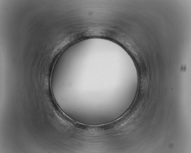 X0000097300489200802291817