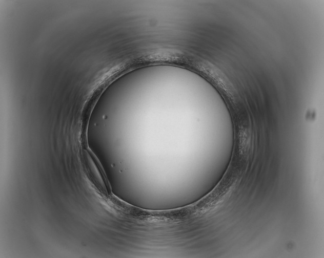 X0000097300490200802291817