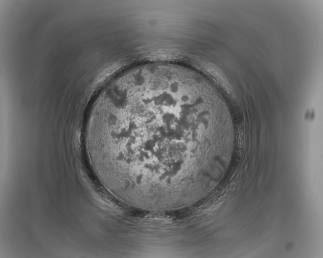 X0000097300491200802291817