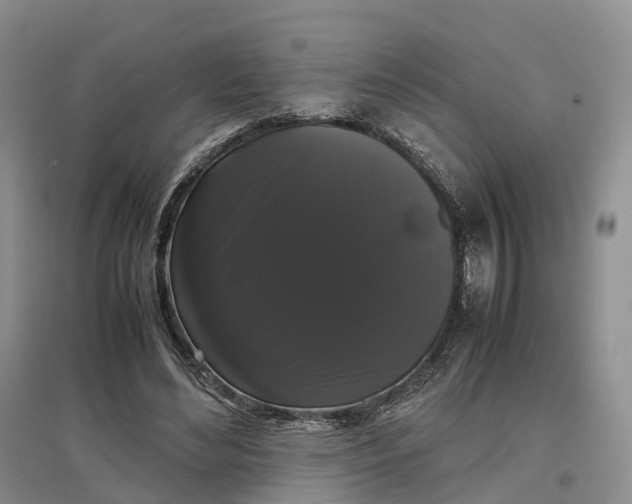 X0000097300492200802291817