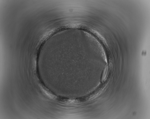 X0000097300493200802291817