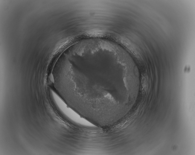 X0000097300494200802291817