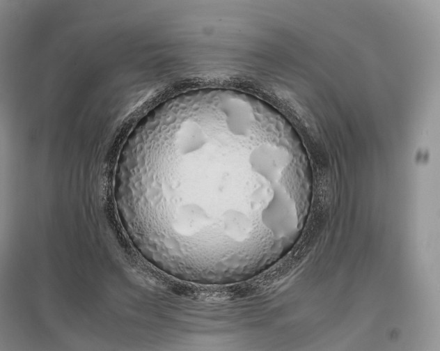 X0000097300495200802291816