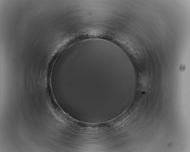 X0000097300496200802291816