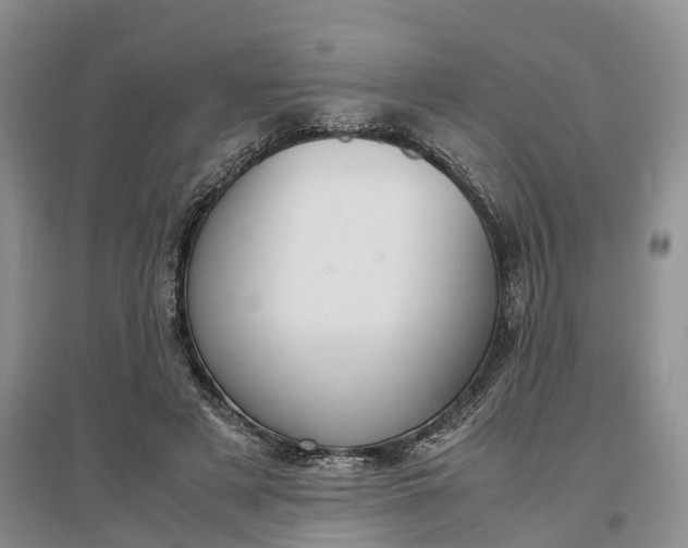 X0000097300497200802291816