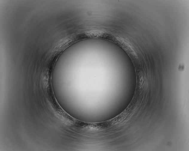 X0000097300498200802291816