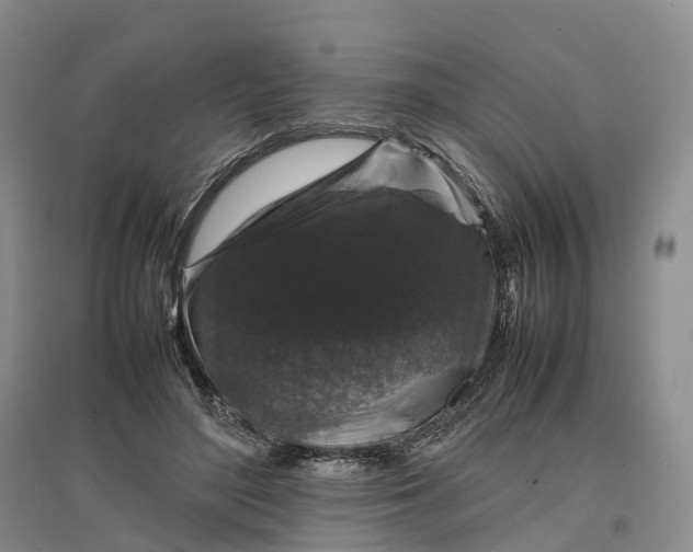 X0000097300500200802291816