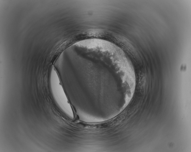 X0000097300502200802291816