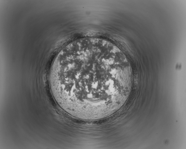 X0000097300503200802291816