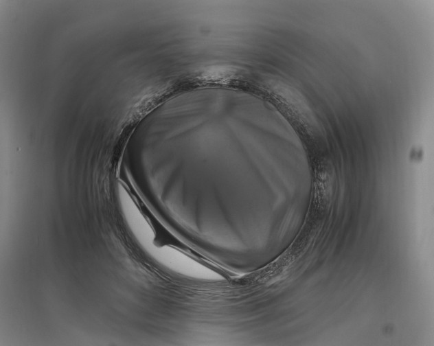 X0000097300504200802291816