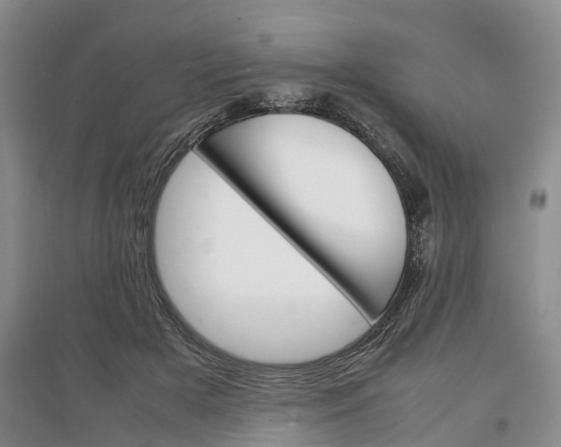 X0000097300505200802291816