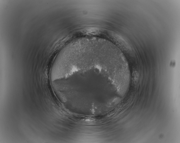 X0000097300506200802291816