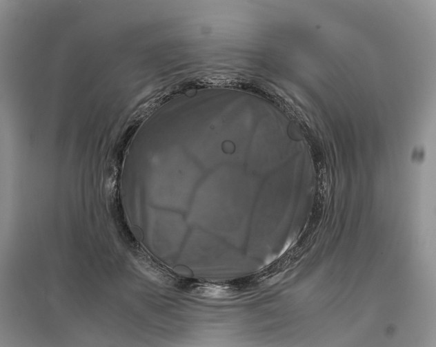 X0000097300507200802291816