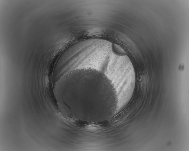 X0000097300508200802291816