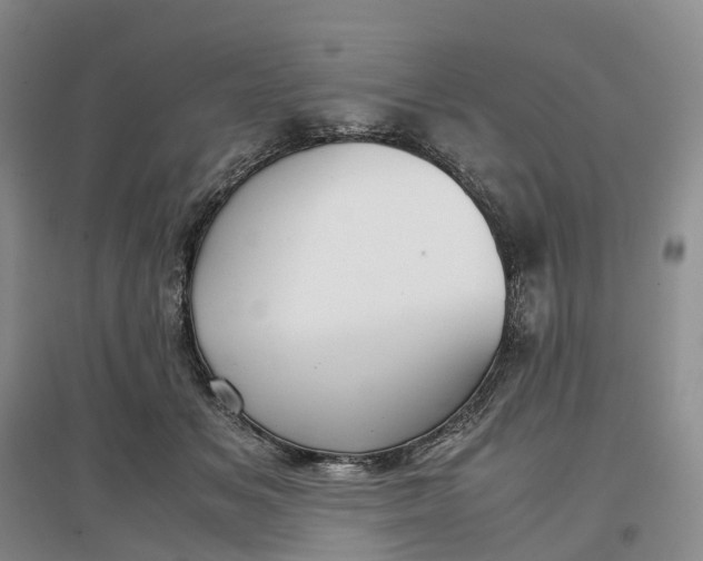 X0000097300509200802291816