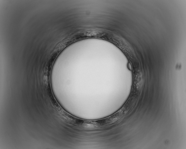 X0000097300510200802291816