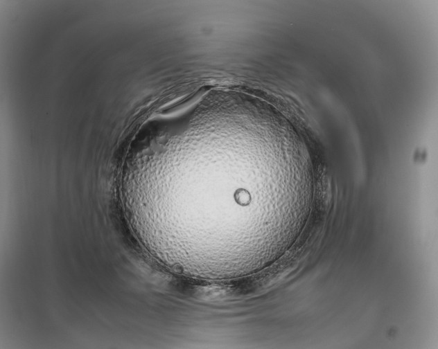 X0000097300511200802291816