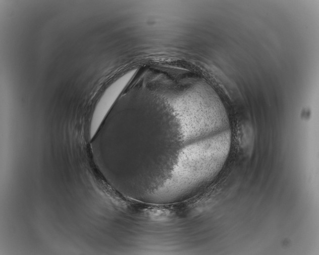 X0000097300512200802291816