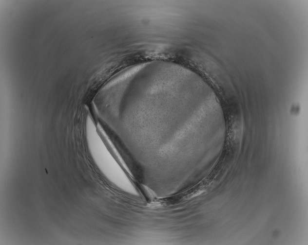 X0000097300513200802291816