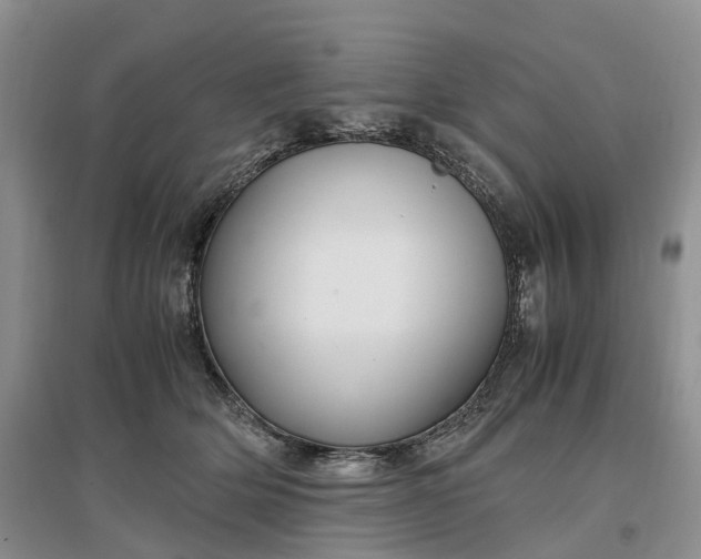 X0000097300514200802291816