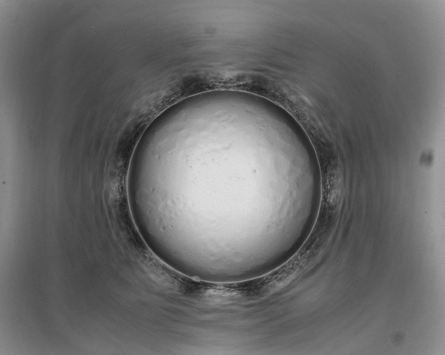 X0000097300515200802291816