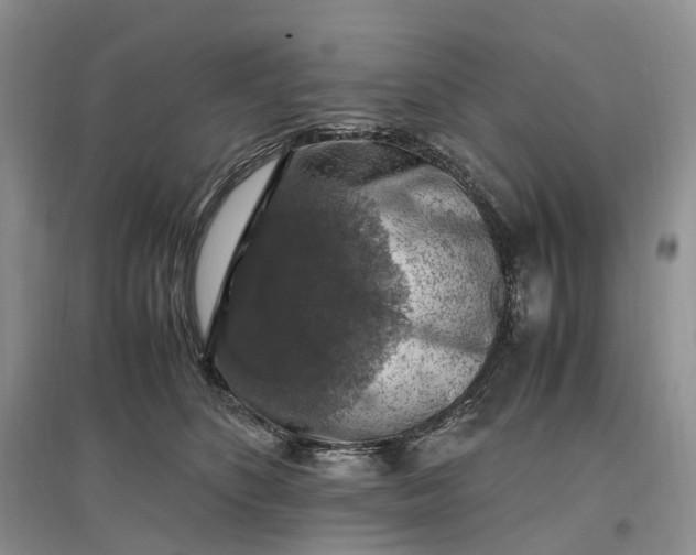 X0000097300516200802291816