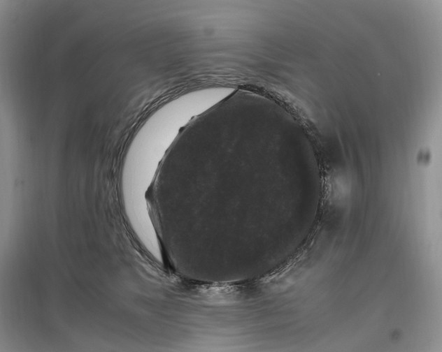 X0000097300517200802291816