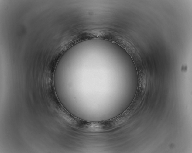 X0000097300518200802291816