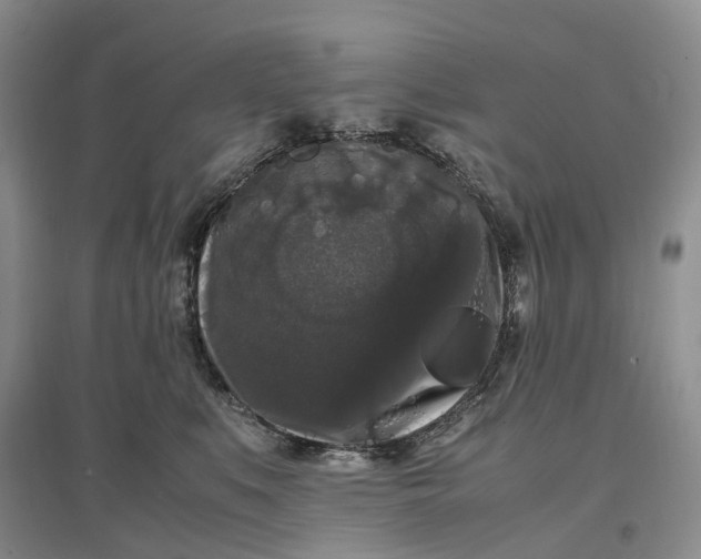 X0000097300519200802291816