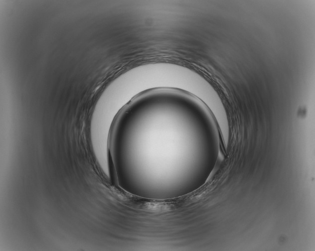 X0000097300520200802291816