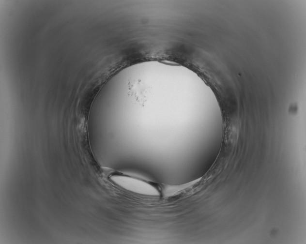 X0000097300521200802291816