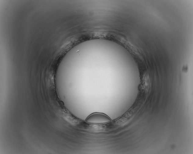 X0000097300522200802291816