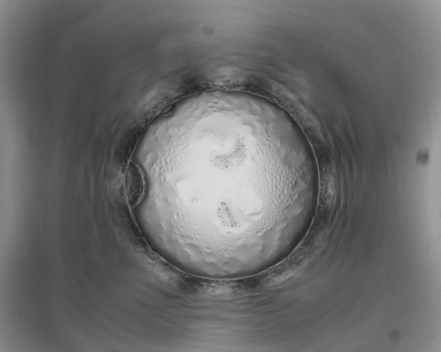 X0000097300523200802291816