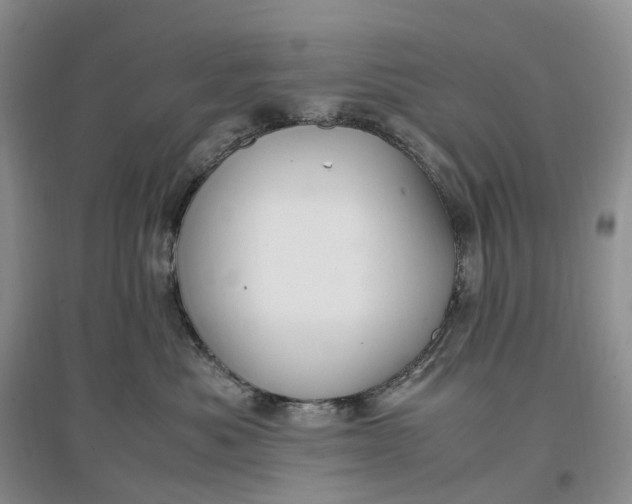 X0000097300525200802291816