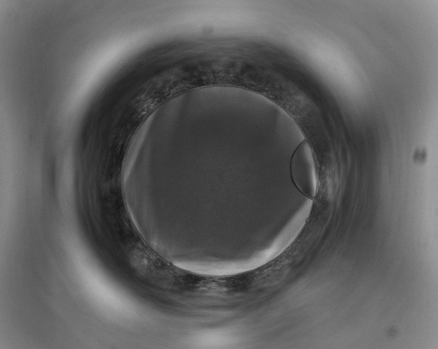 X0000097300526200802291816