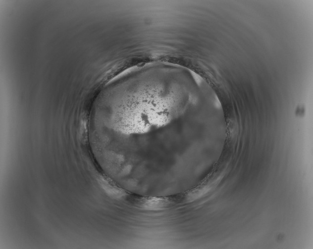 X0000097300527200802291816