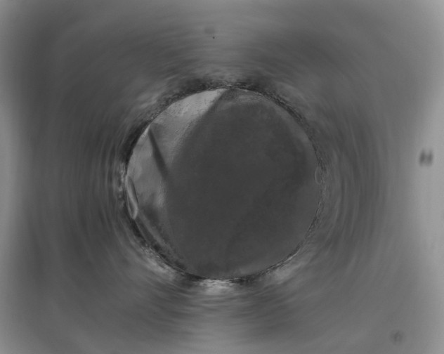 X0000097300528200802291816