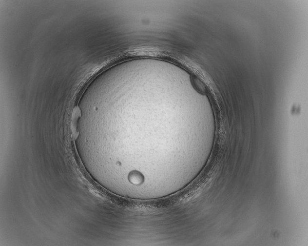 X0000097300529200802291815