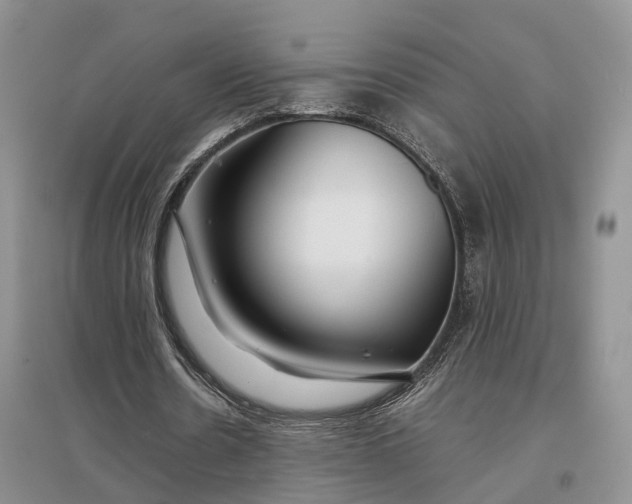 X0000097300530200802291815