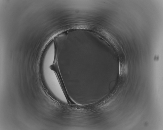 X0000097300531200802291815