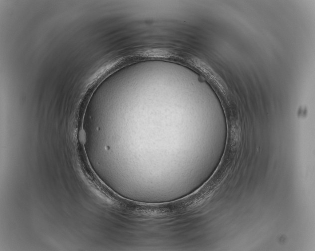 X0000097300533200802291815