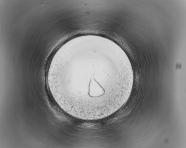 X0000097300534200802291815