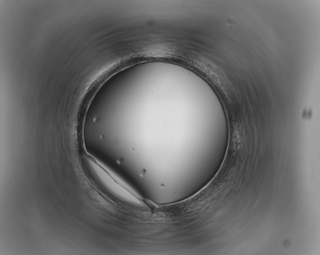 X0000097300535200802291815