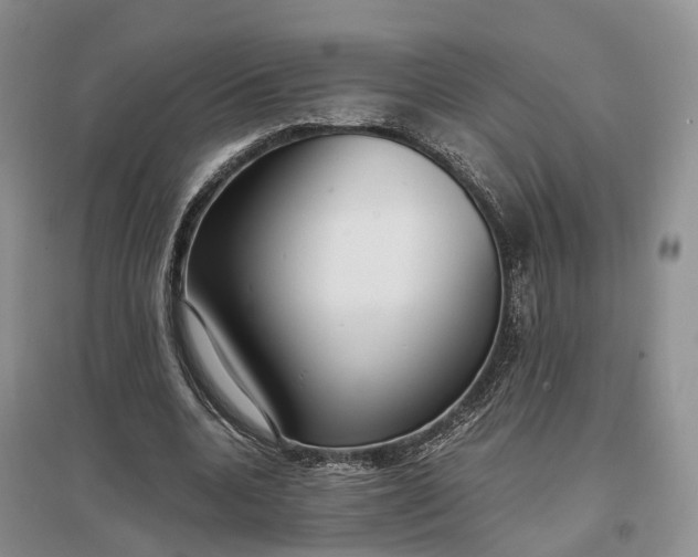 X0000097300536200802291815