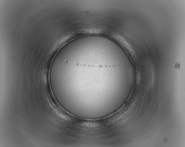 X0000097300537200802291815