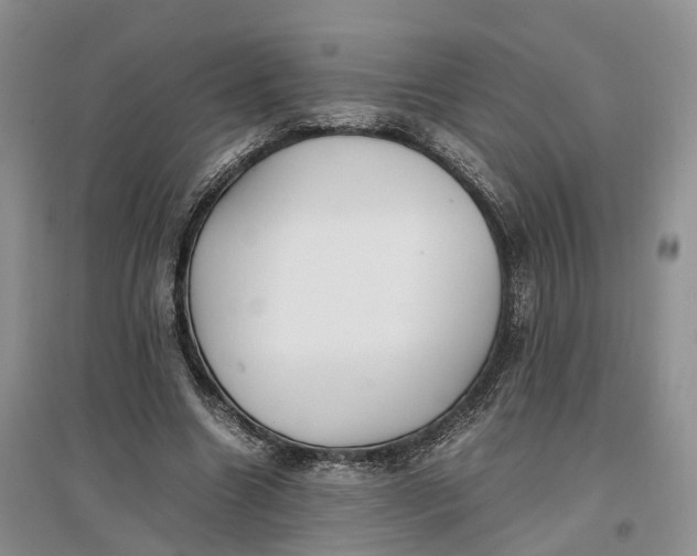 X0000097300538200802291815